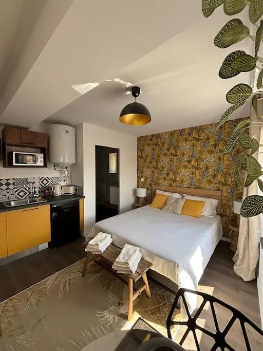Apartment Roanne - Le Studio 203 France