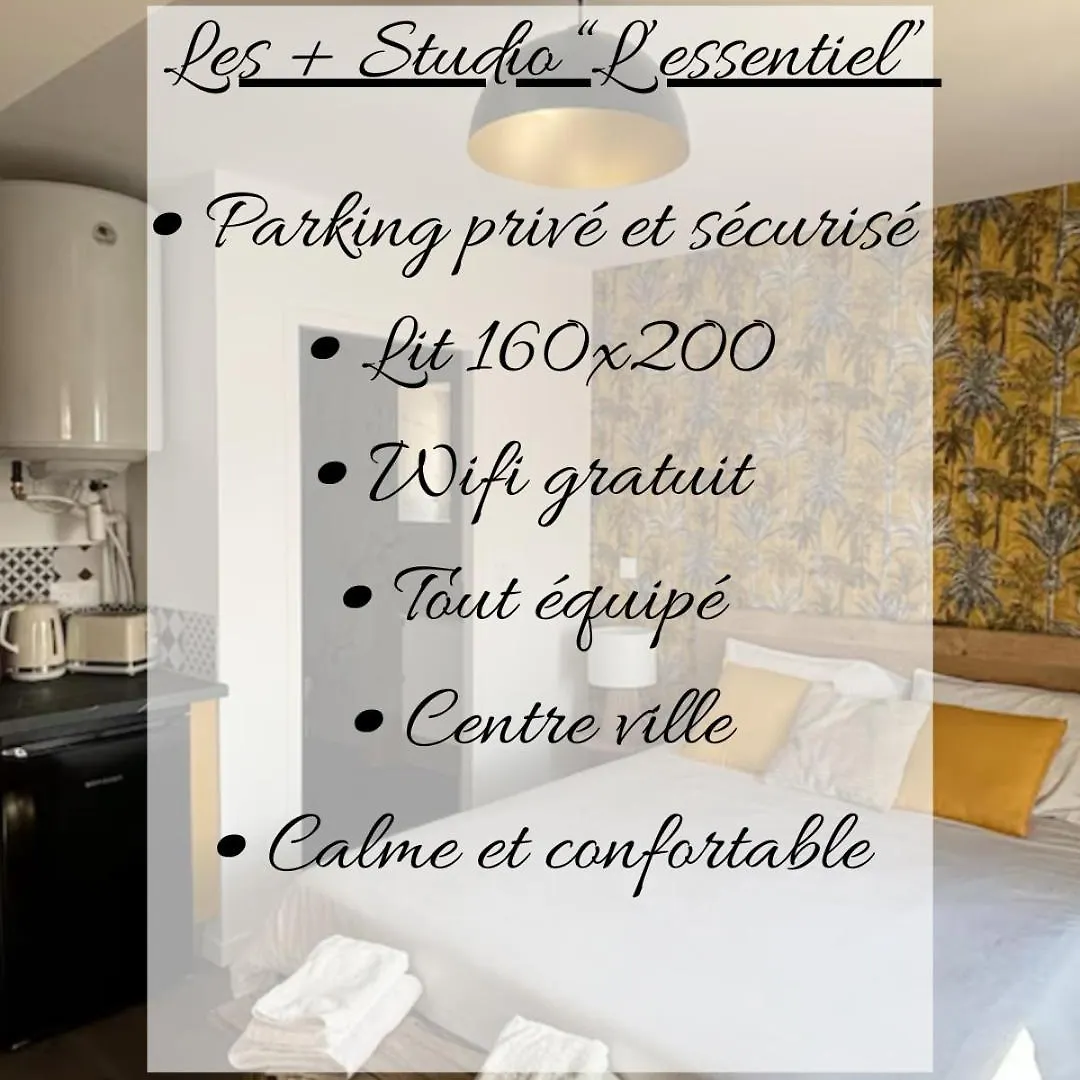 Roanne - Le Studio 203